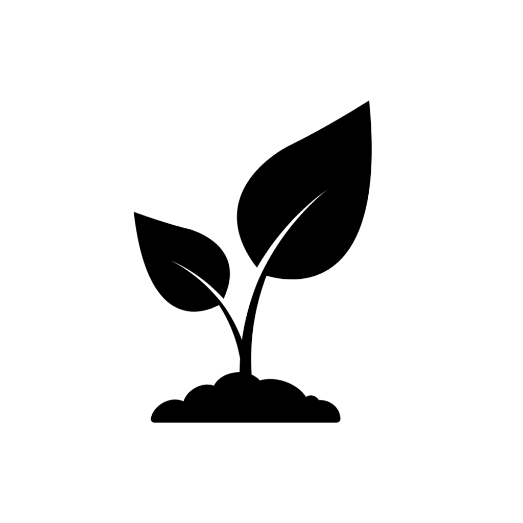 Illustration of plant growing