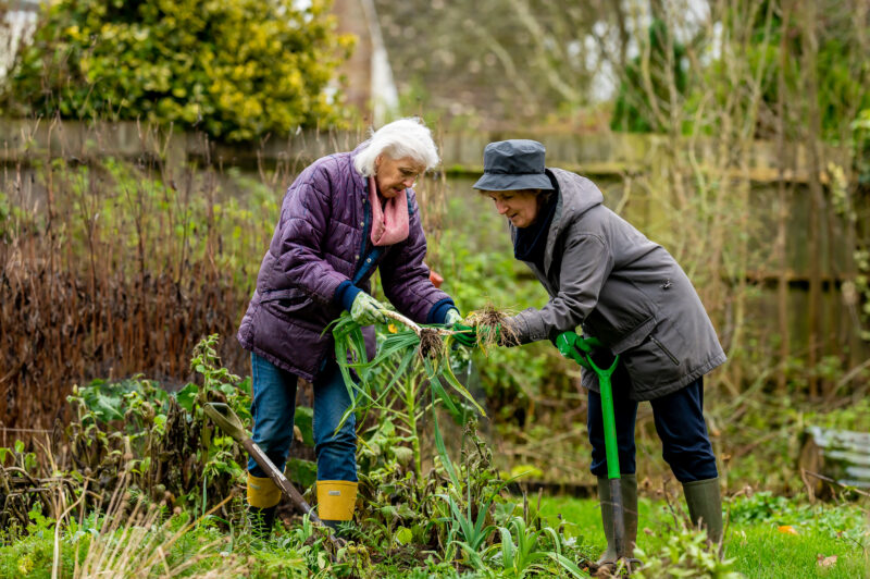 Picture of two people gardening