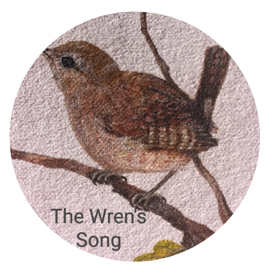 This logo is a drawing of a brown wren sat on a tree branch with the name of the business 'the wren's song' on it