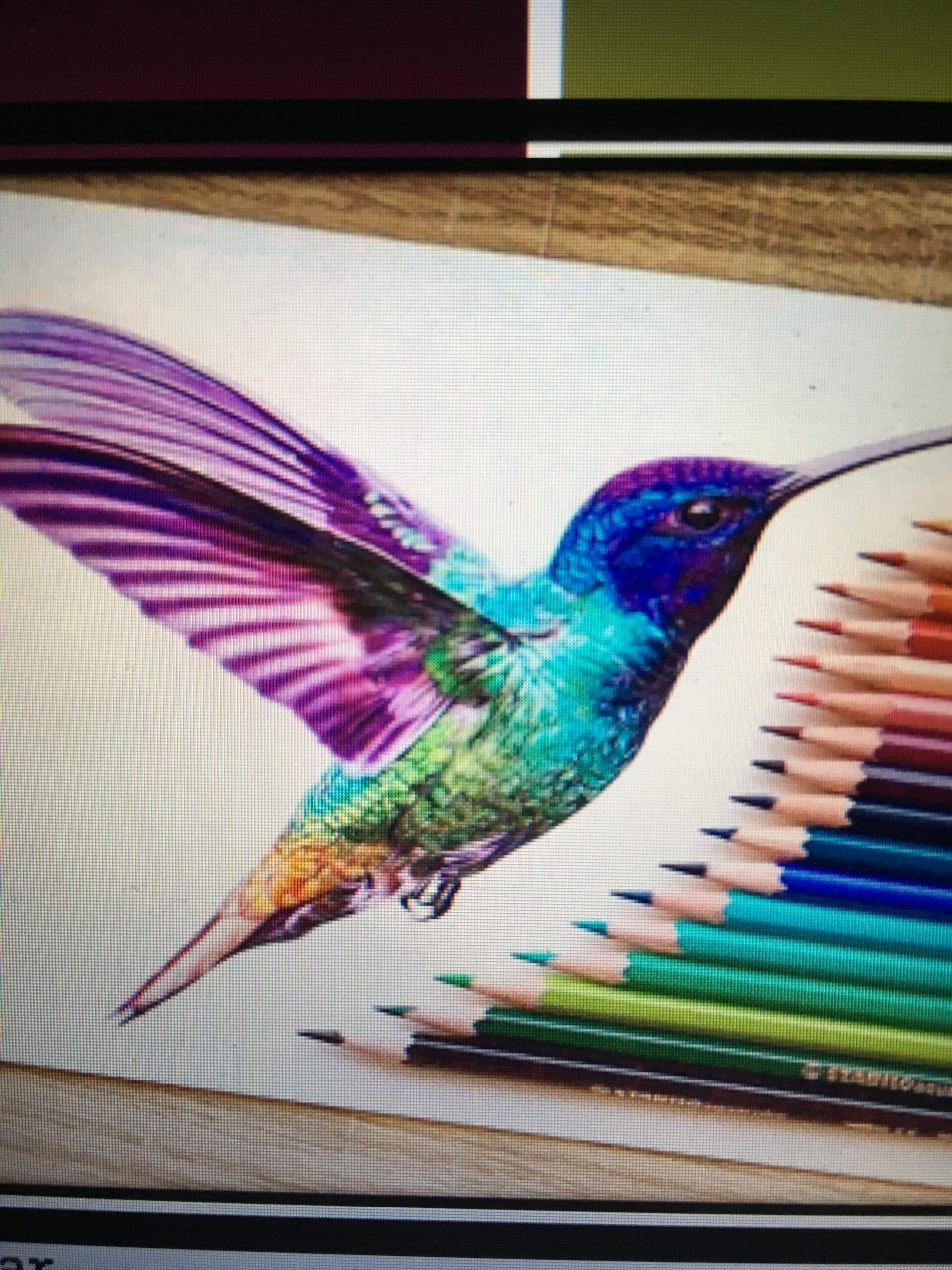 Picture of a Hummingbird