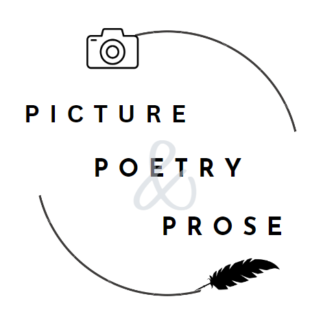 Picture Poetry and Prose