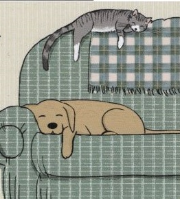 Dog on armchair with cat lying on armchair back