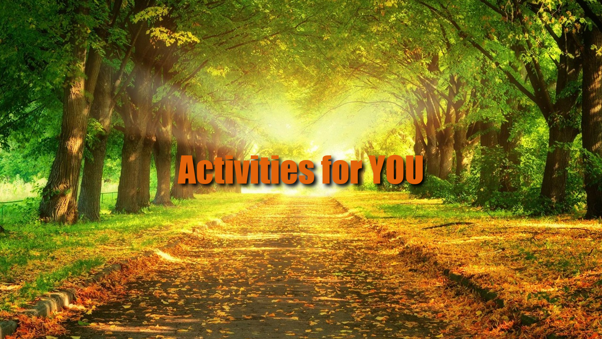 Activities for YOU