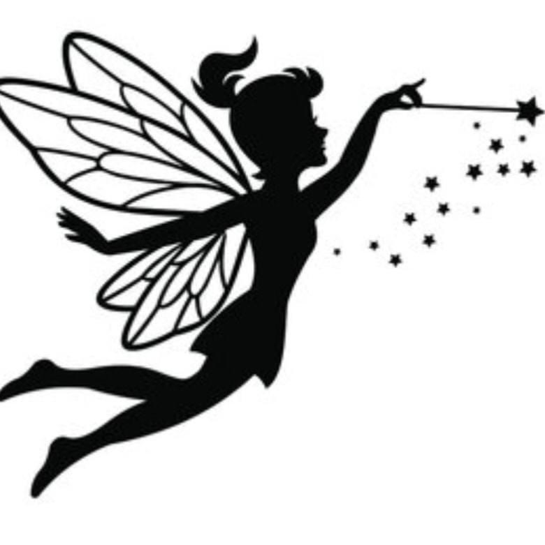 The Fairy represents the fact I work my magic