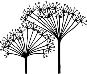 Our company logo is Cow Parsley which traditionally symoblises safety and wellness.