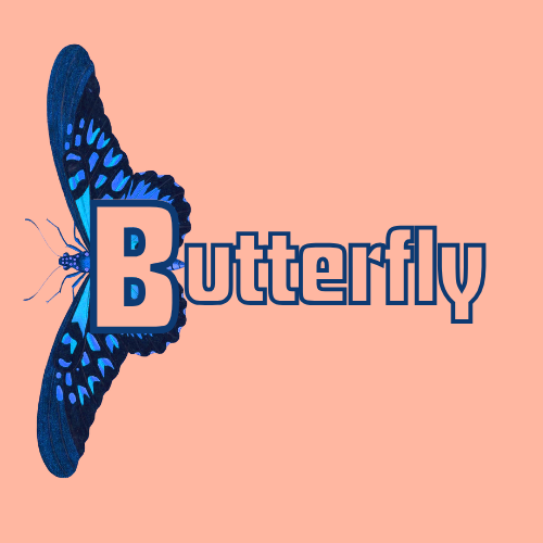 Butterfly logo