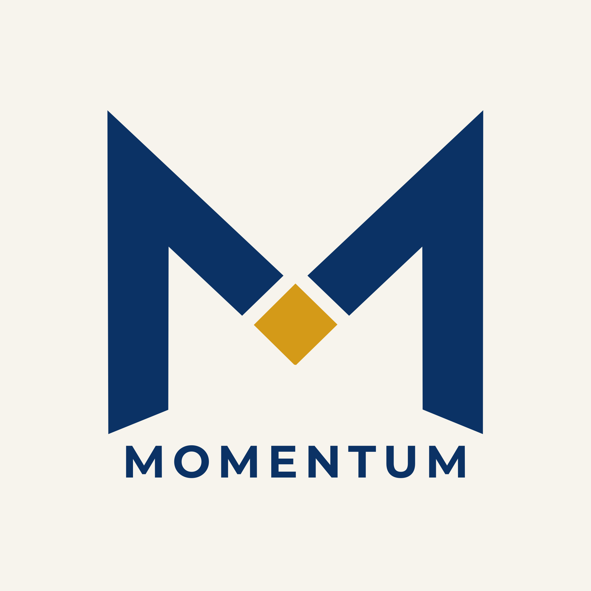 Company logo: A large M with Momentum written underneath it