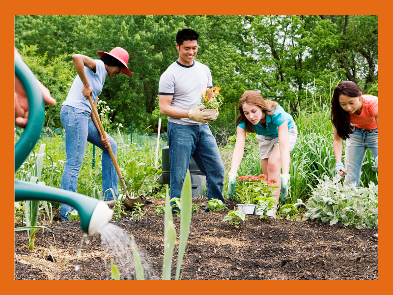 Group of people gardening