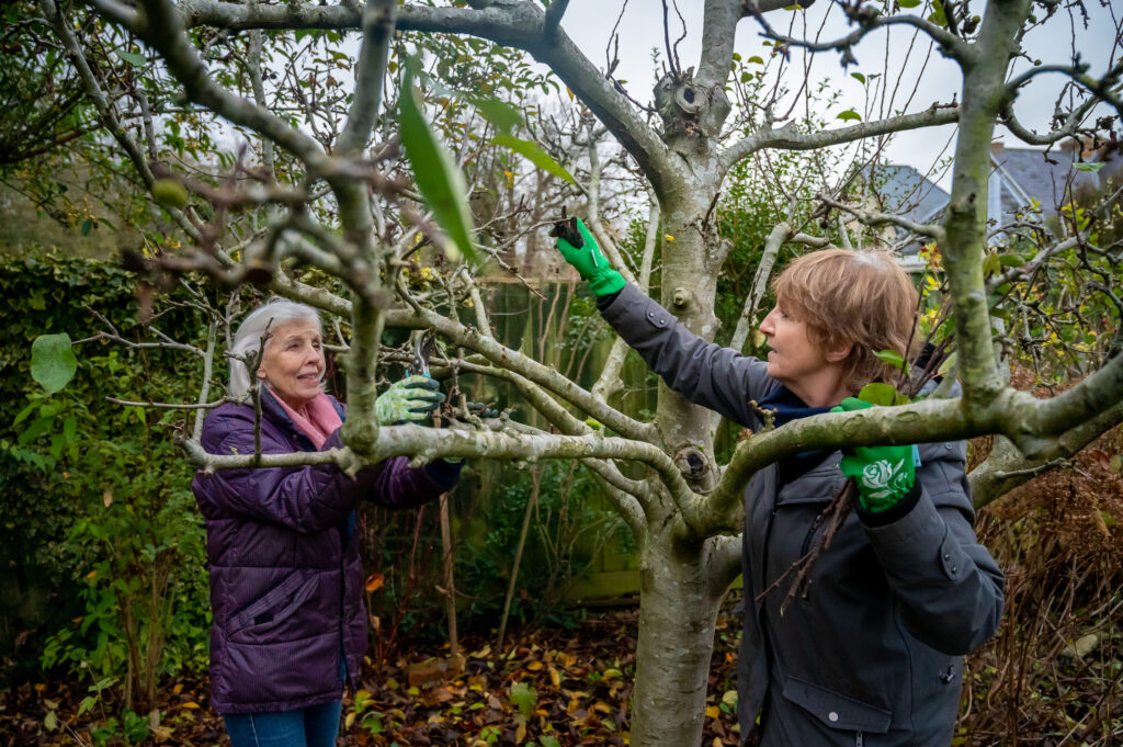 Two women gardening