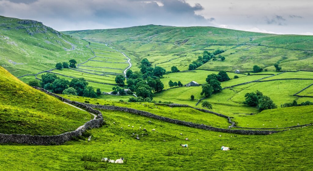 Green rolling hills and stone walls in Yorkshire