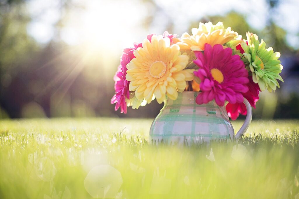 Flowers in a pitcher