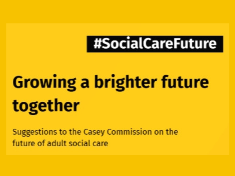 Text: on a yellow background Growing a brighter future together