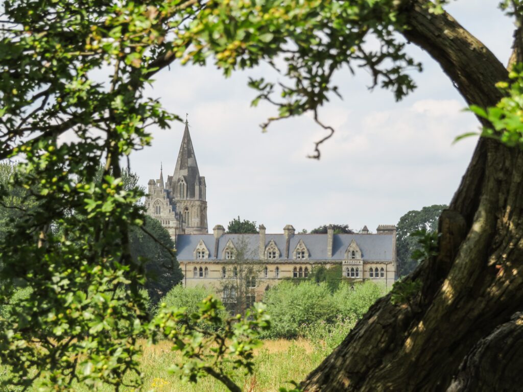 Church surrounded by trees