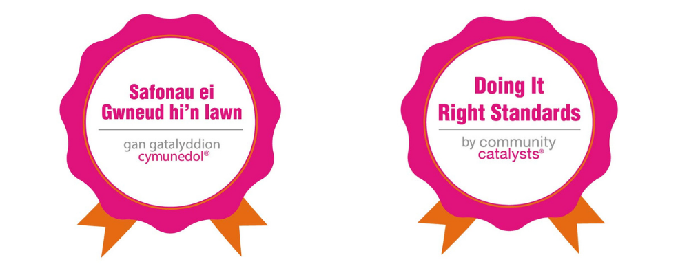 Welsh and English 'Doing it Right Standards' badges
